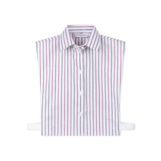 Wine Multi Striped Oxford Dickie